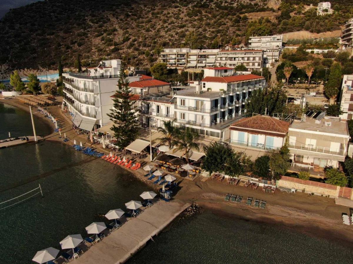 Barbaressa - Housity