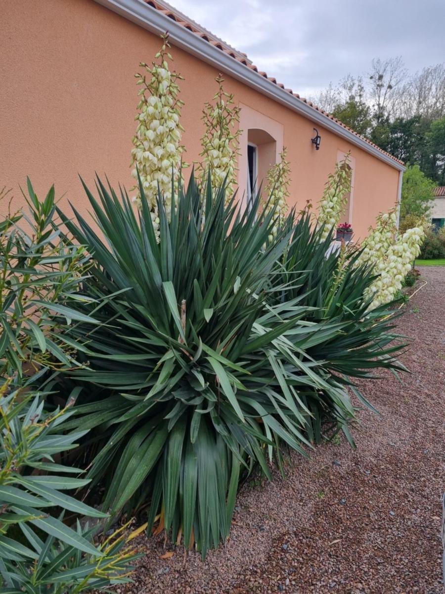 Le logis du marais - Housity