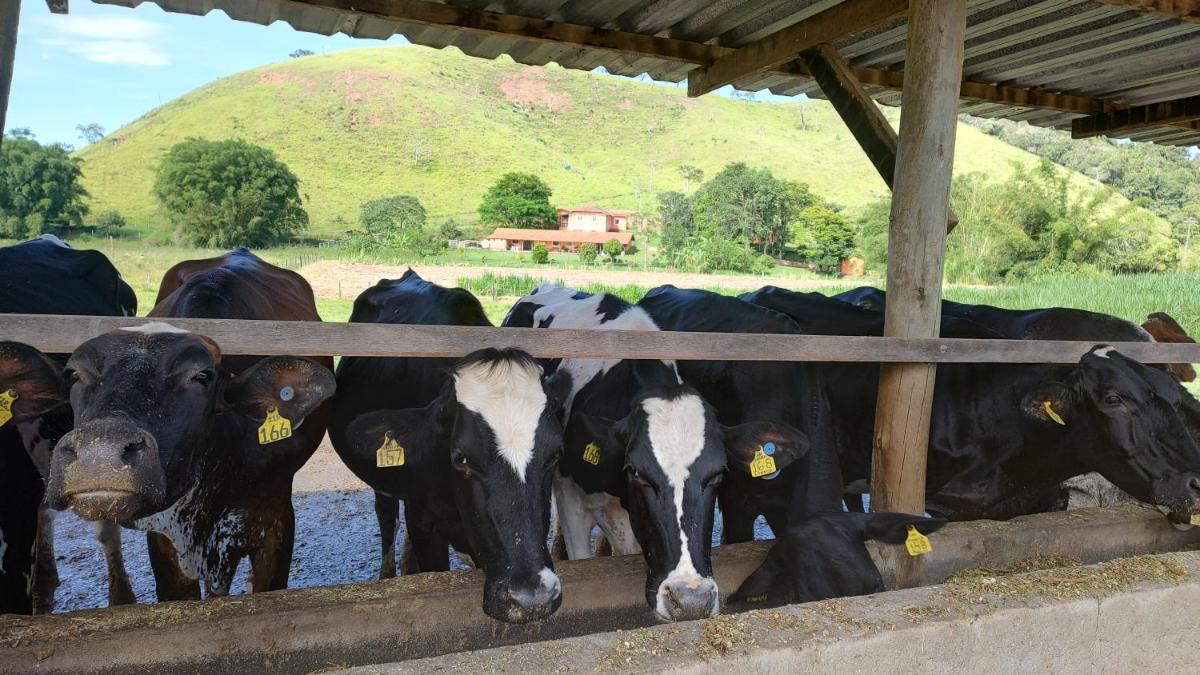 Pousada Campestre Cunha-SP - Housity