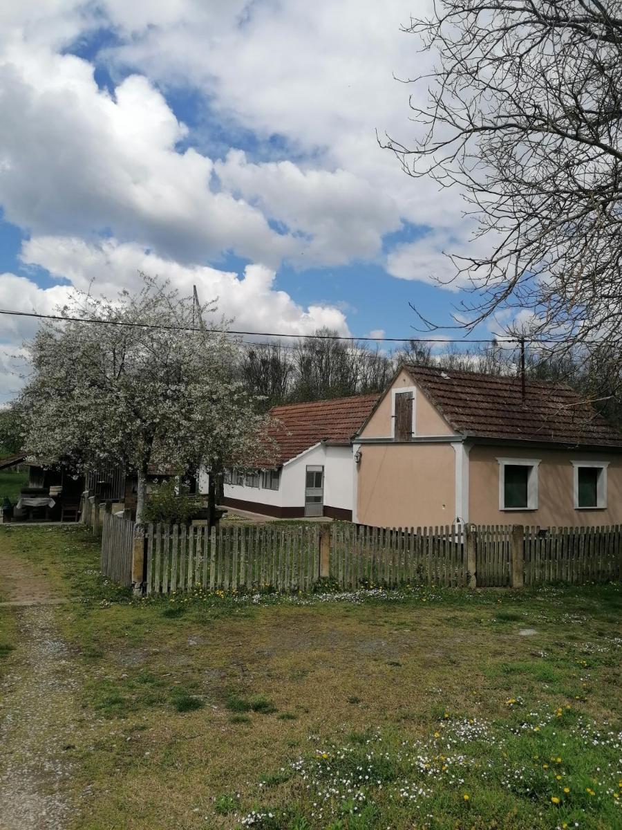 Orljak - Housity