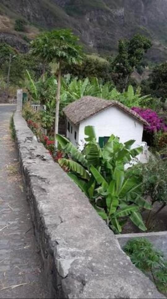 Cottage na Ribeira do Paúl - Housity