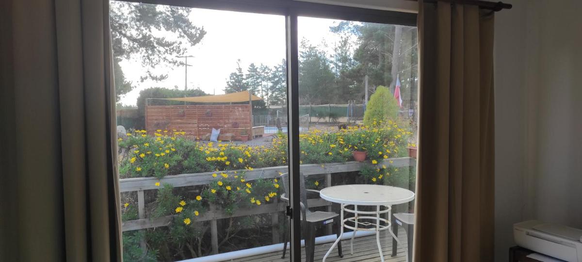 Bed&Breakfast Casa Daroch - Housity
