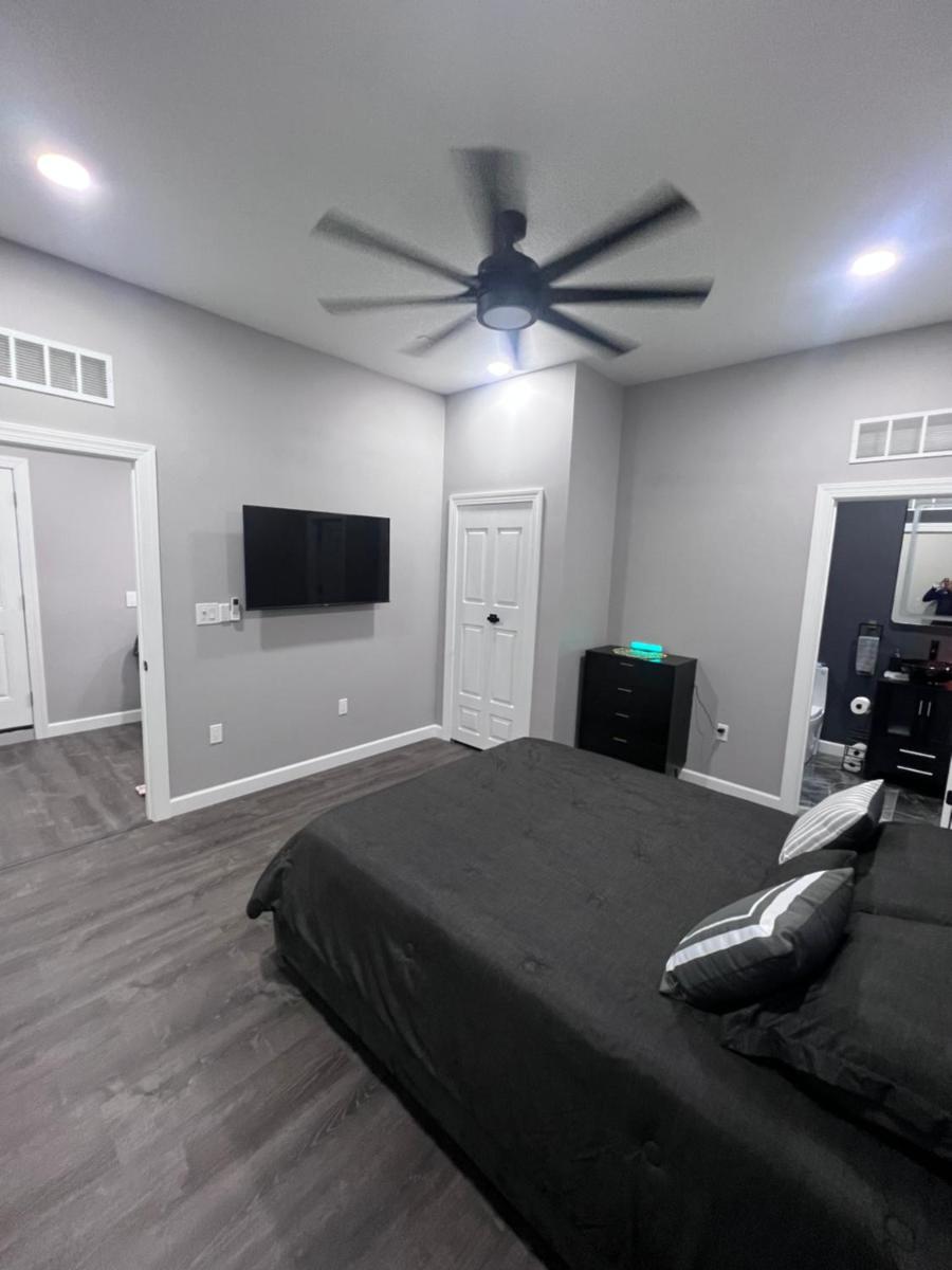 The palm suite - Housity