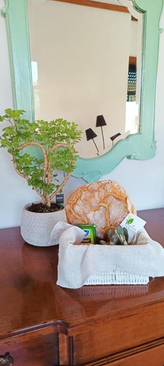 Big Fish 1 - Charming Beach Apartment - Housity