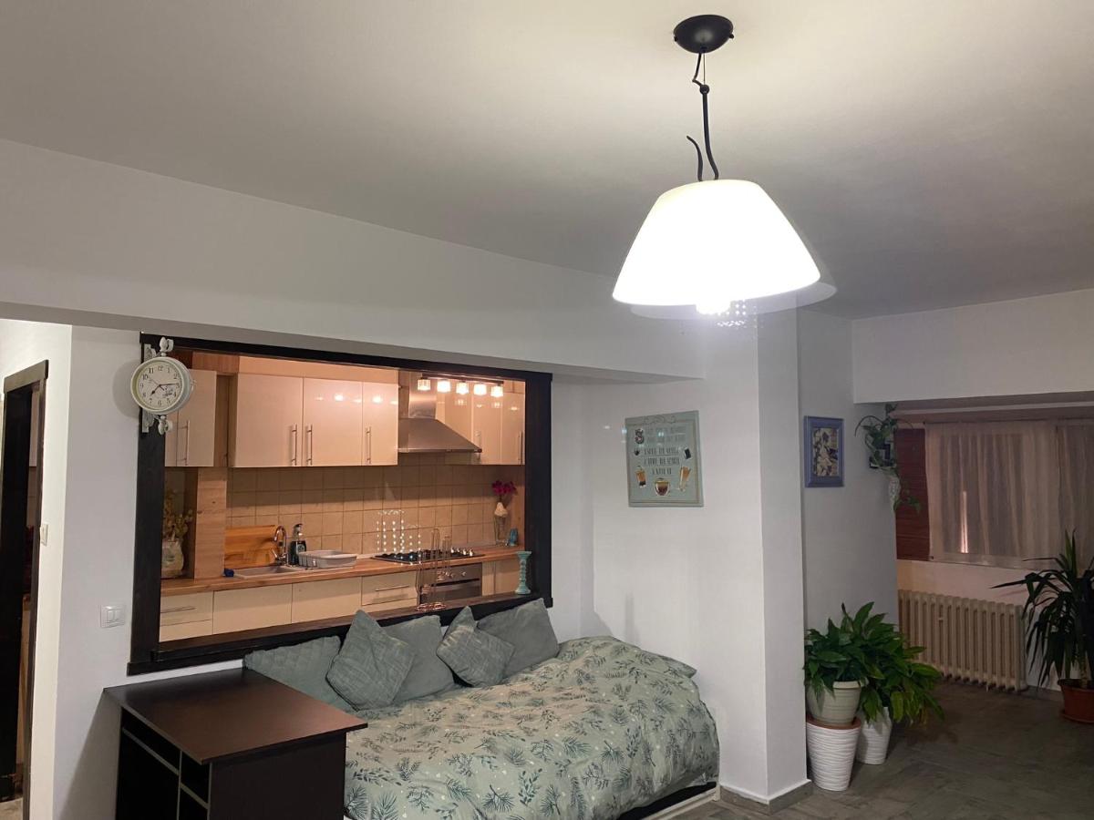 Apartament Central - Housity
