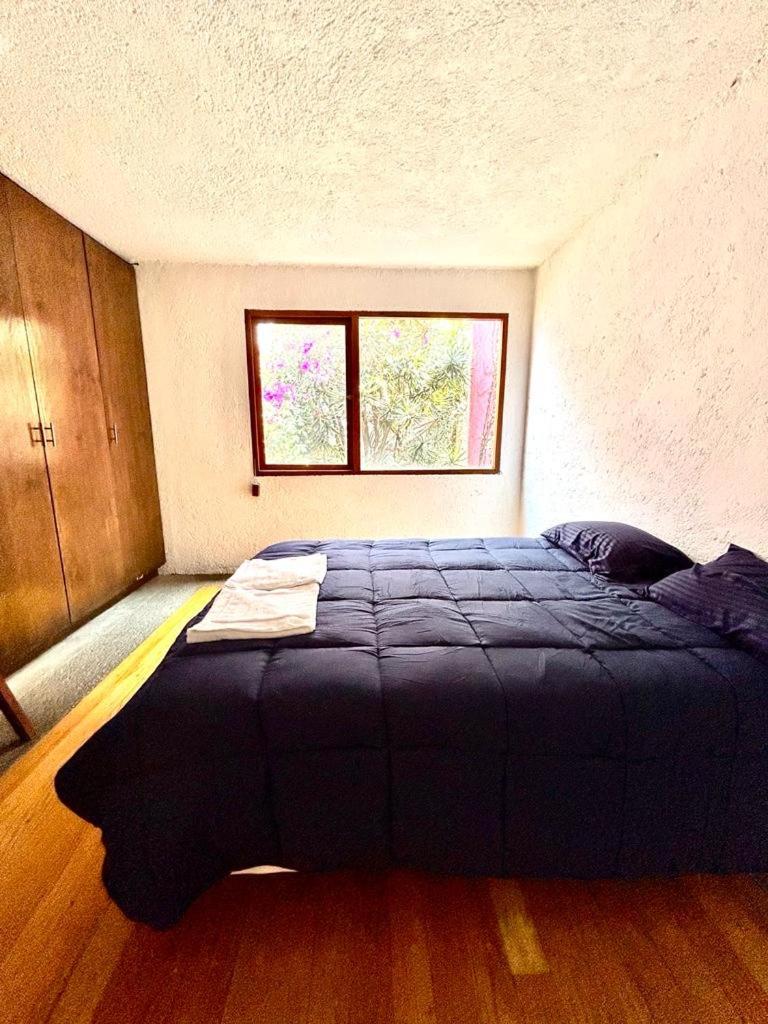 Casa Frida Coyoacan - Housity