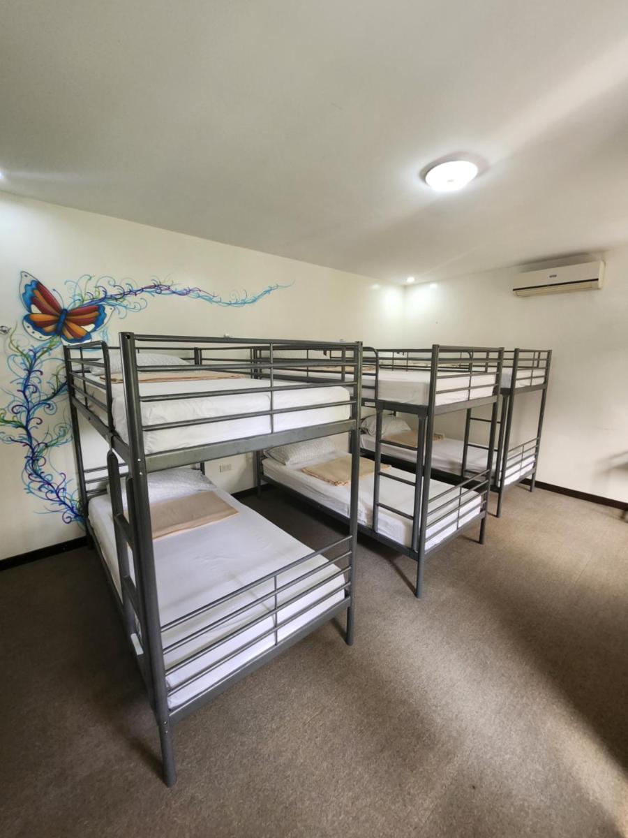 Modern Peak Suites - Housity
