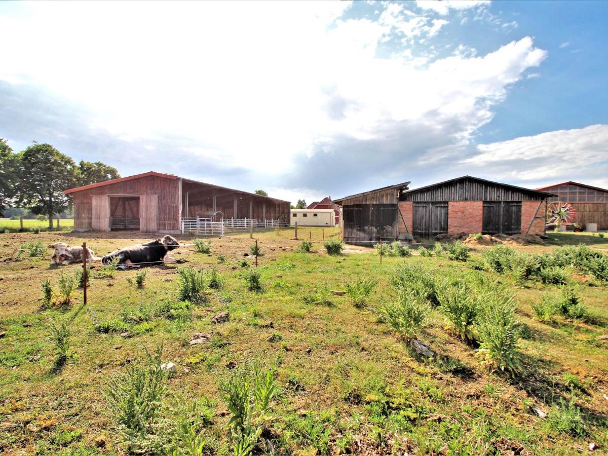 Ferienwohnungen auf dem Land Gross Quassow SEE 10170 - Housity
