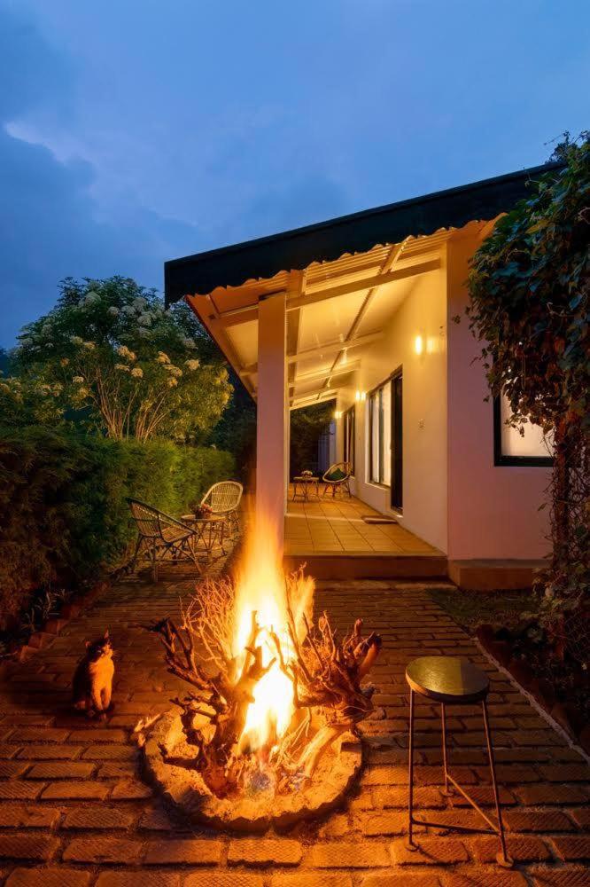The Tamarillo - Housity