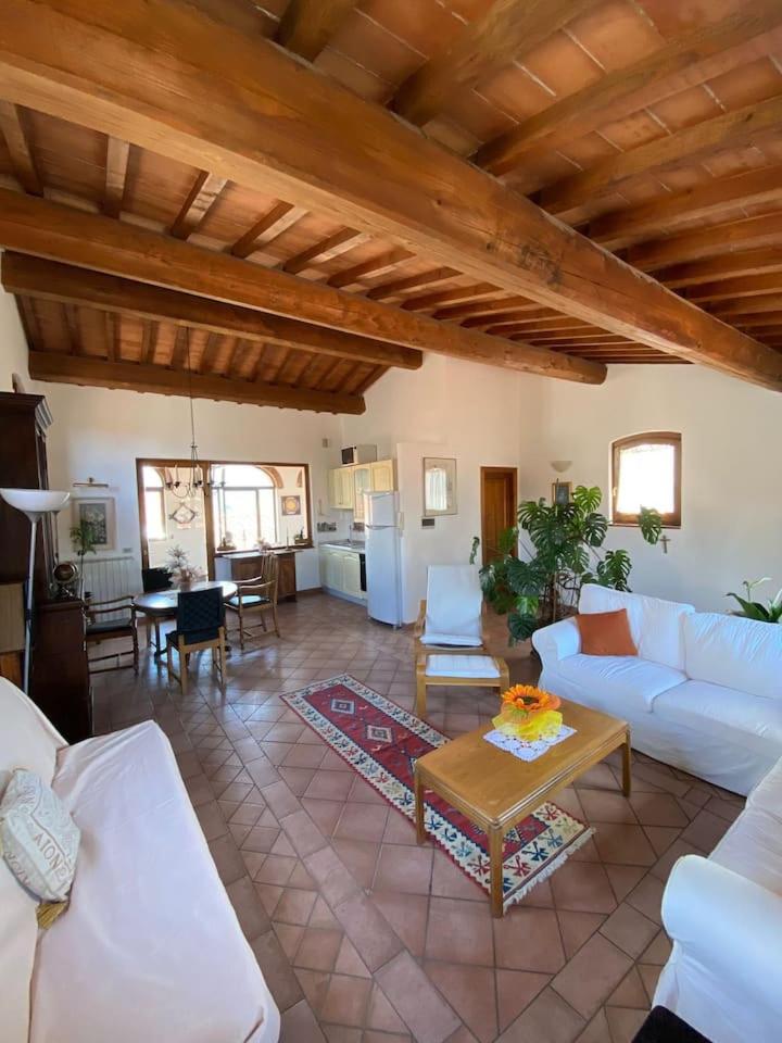 Mike's Apartment - Housity