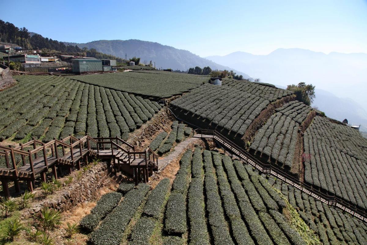 Alishan B&B YunMinGi - Housity