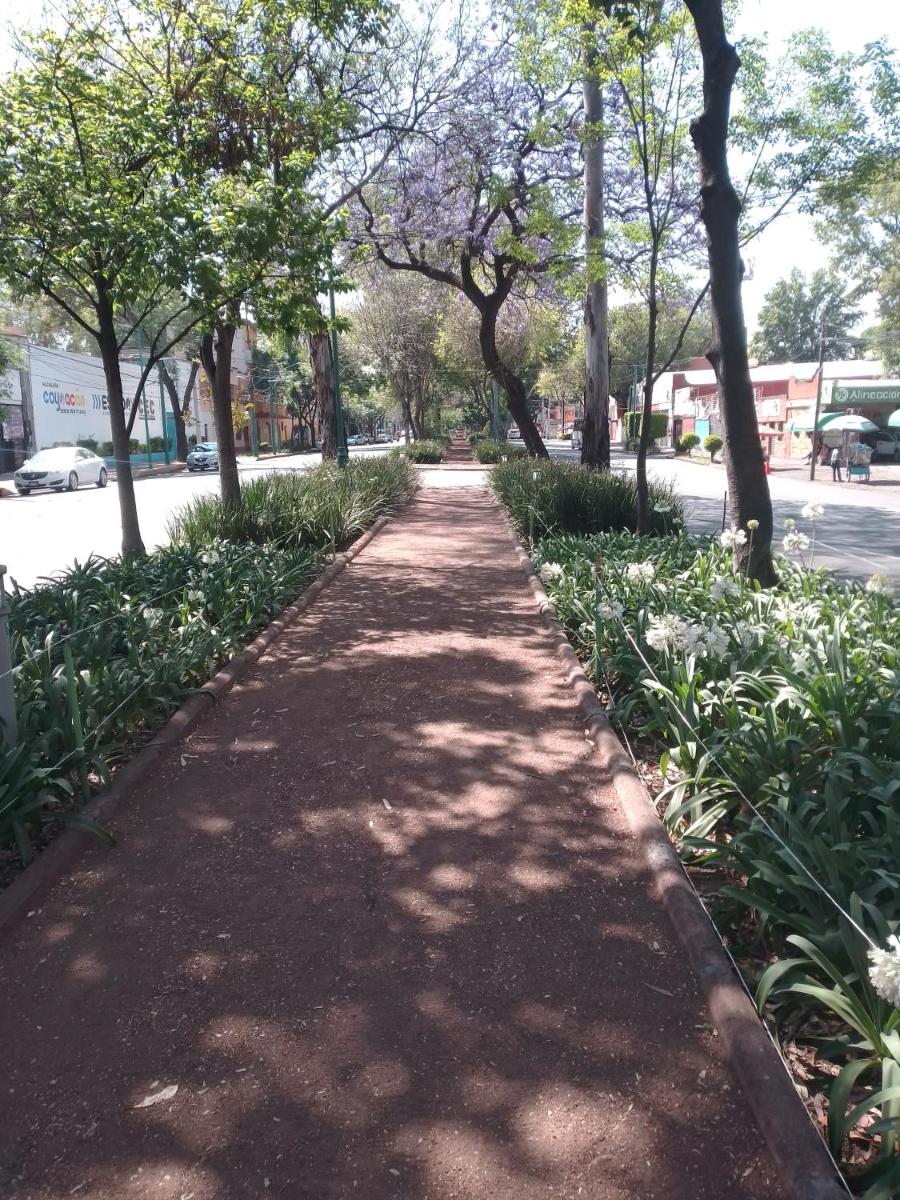 COYOACAN DEPARTAMENTO TIPO COLONIAL - Housity