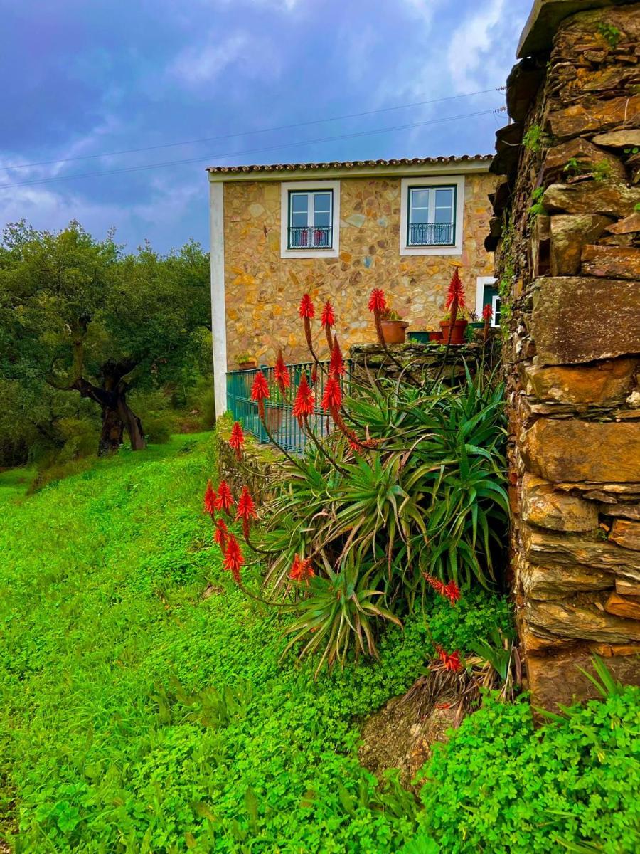 Quinta Castanheiro da Penha - Alegrete - Portalegre - Alentejo - Housity