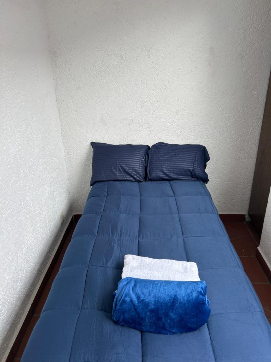 Casa Frida Coyoacan - Housity