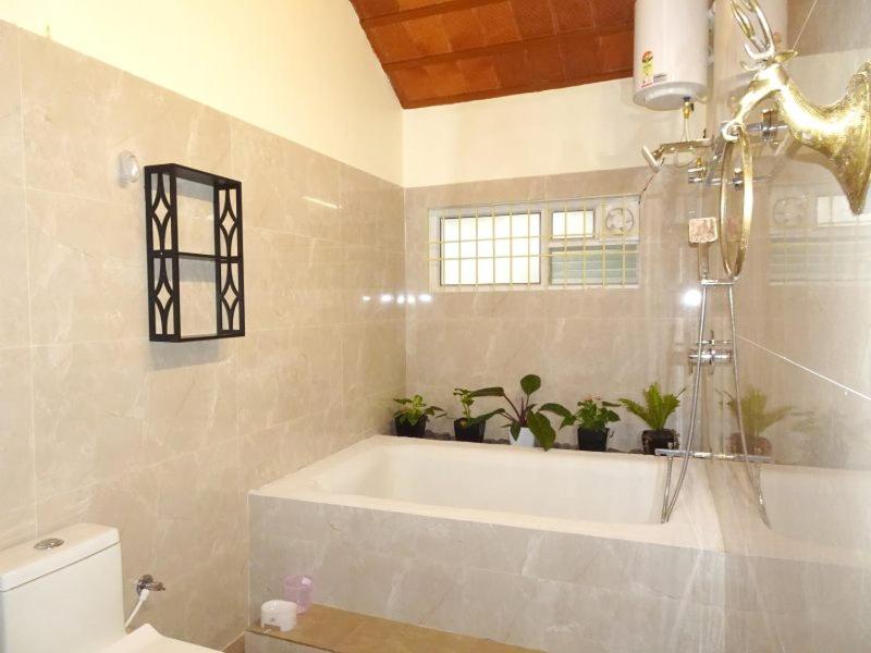 Hazelnut Farms - Housity