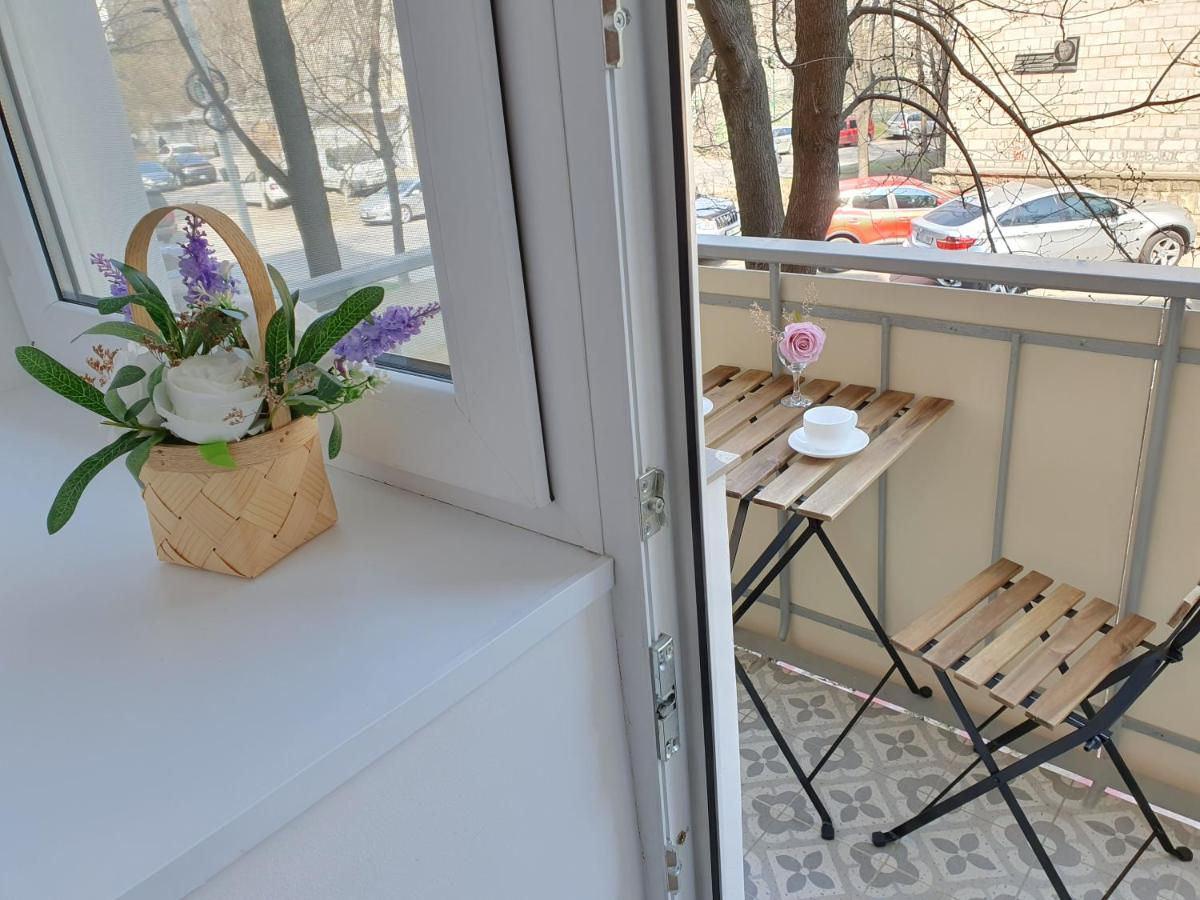 All New and Cozy Apartment in the Silence Center - Housity