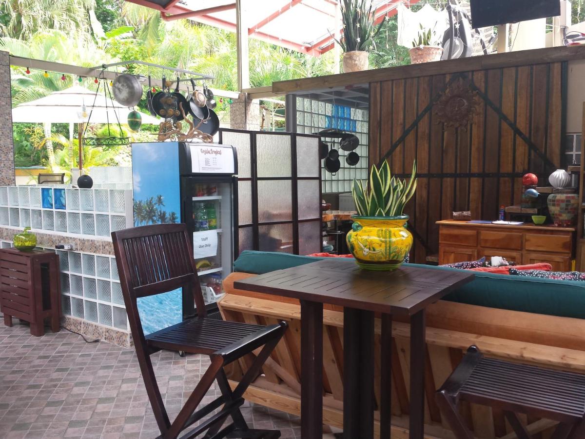 Coyaba Tropical Elegant Adult Guesthouse - Housity