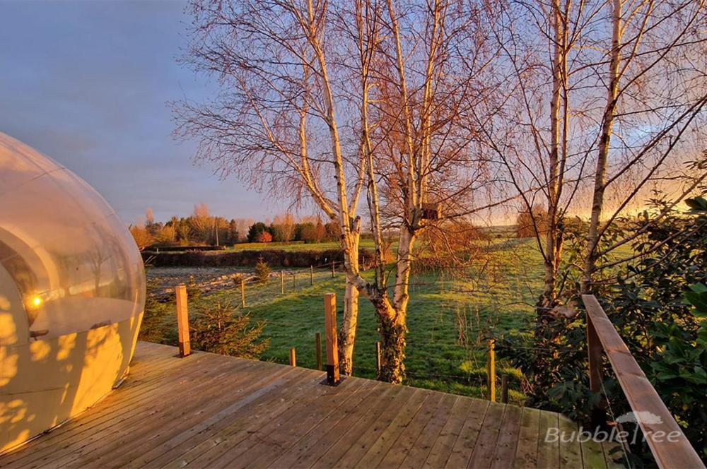 Ecolieu B & Bubble Drincham by BubbleTree BBT SARL - Housity