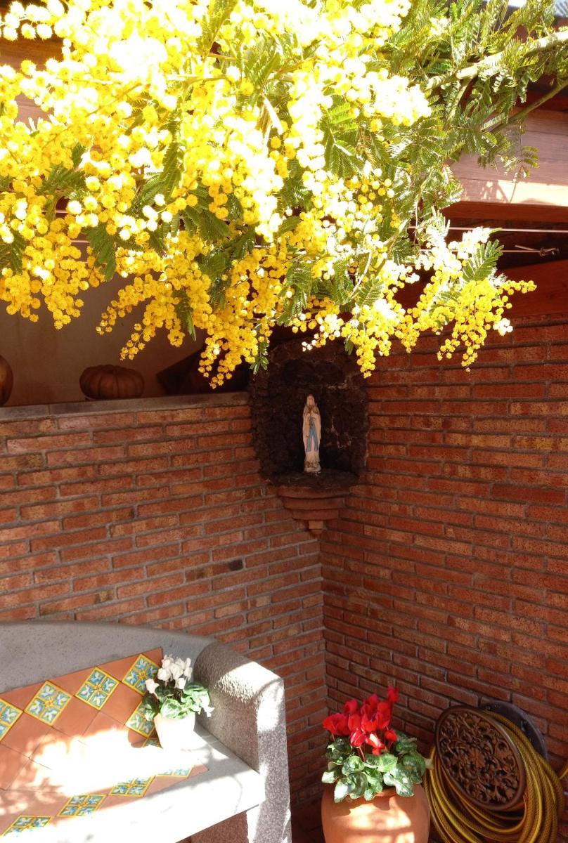 Casa dell'Ulivo - Housity
