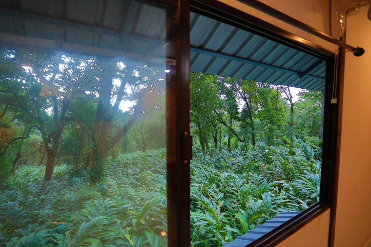 Munnar Magic Mist - Housity