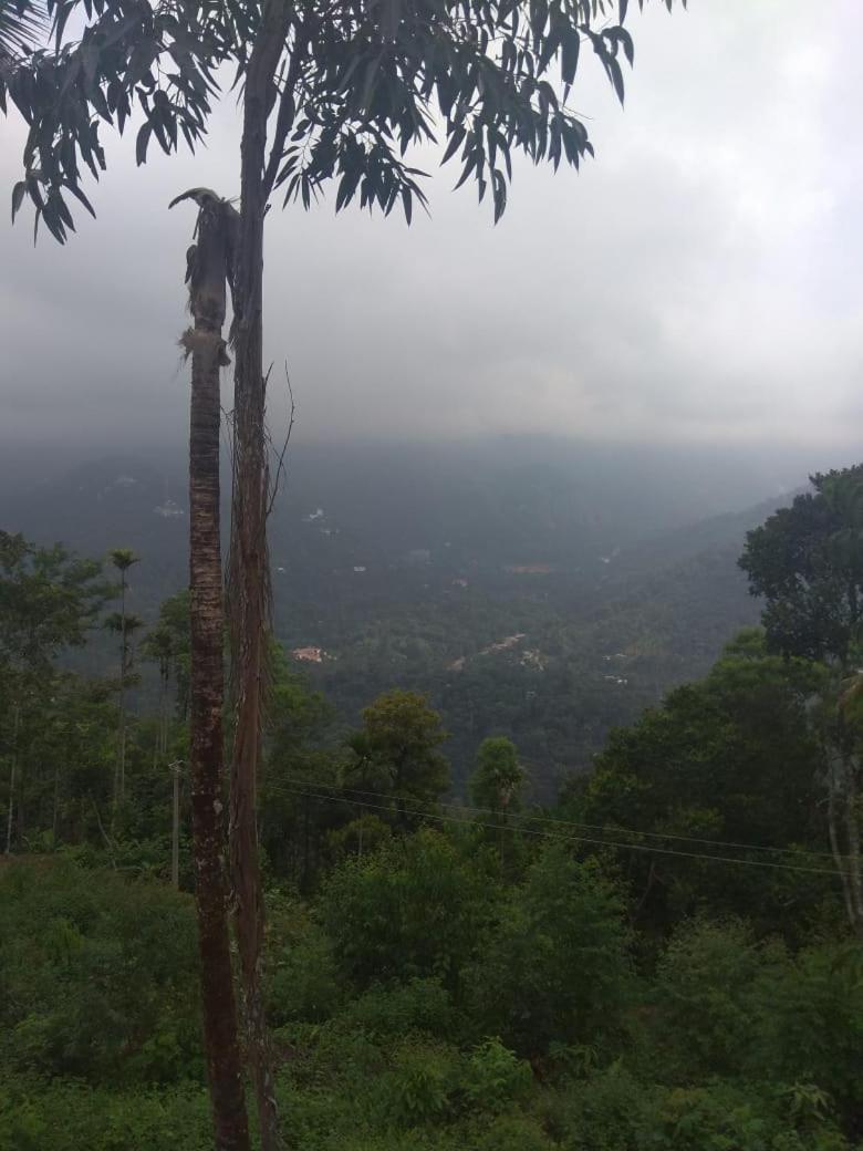 Munnar Magic Mist - Housity