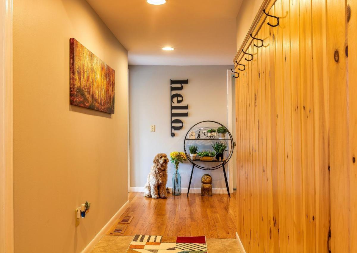 Stunning Lake Front! Modern+Chic+Cosy pet friendly - Housity