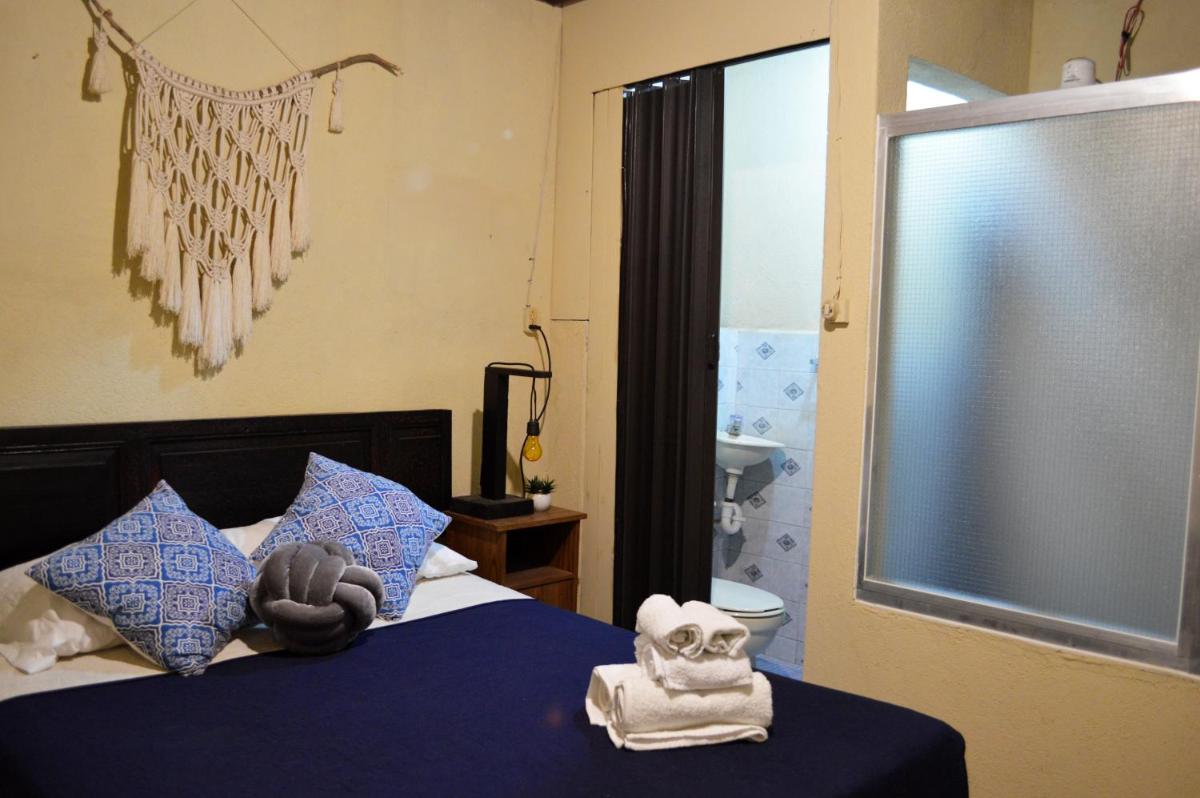 Ave del Paraiso Guest House - Housity
