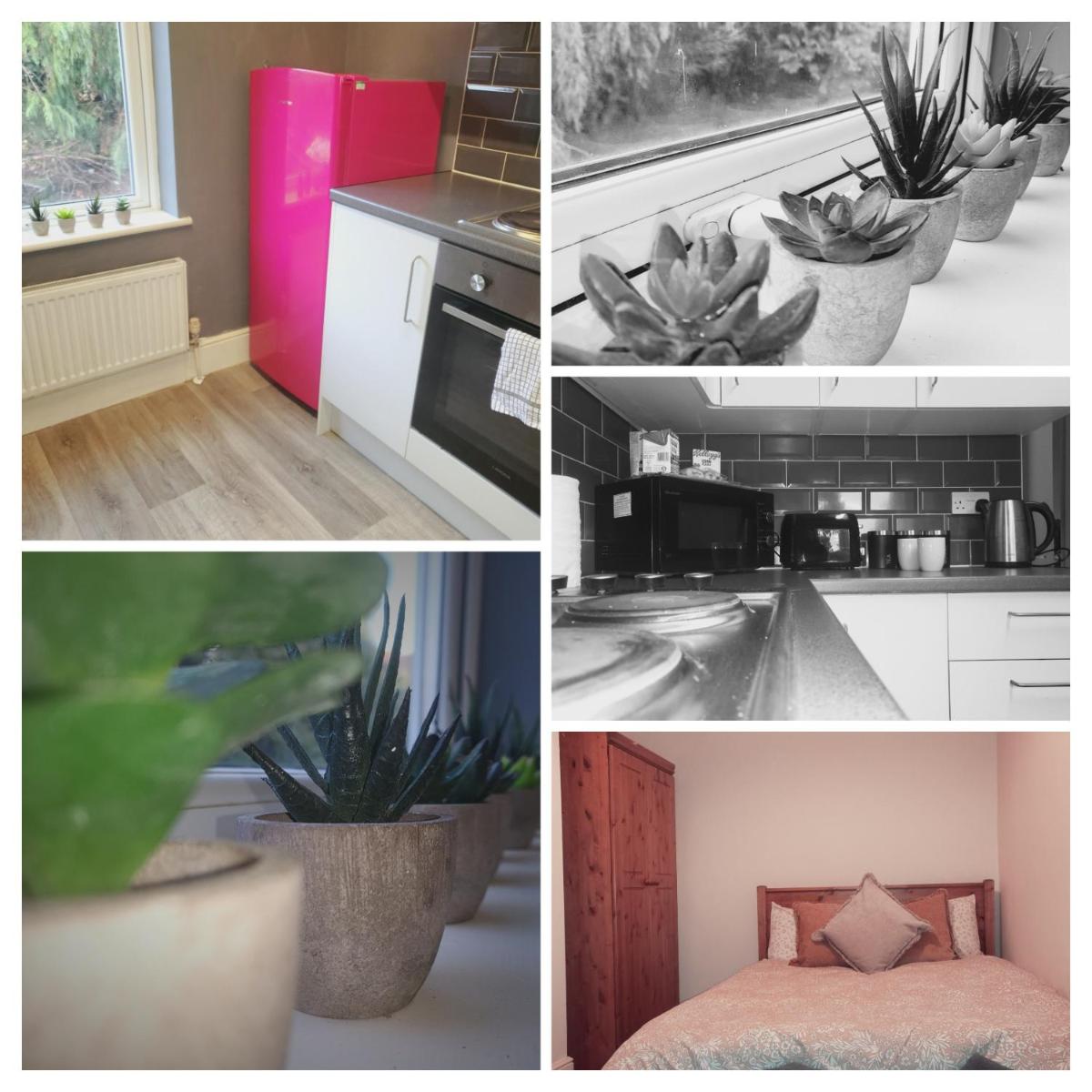home from home entire flat - Housity