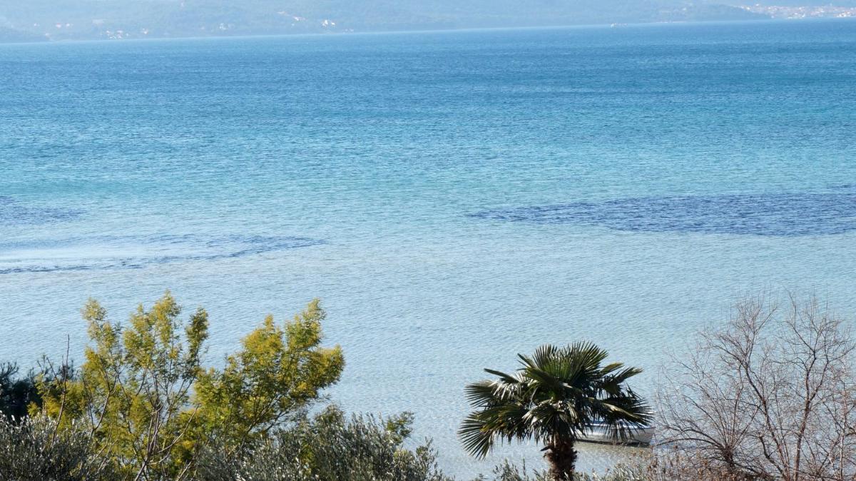 Apartments Sandra - Housity