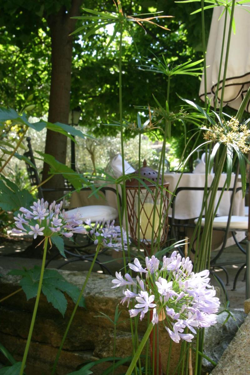 Jardin de l'établissement Le Castellas Hotel & SPA - TERITORIA