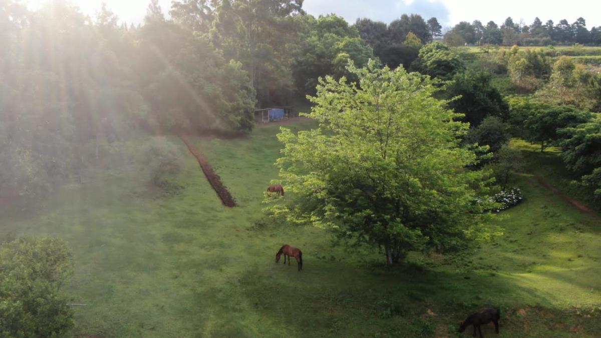 Izimbali Farm - Housity