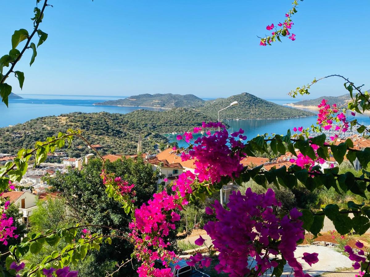 Kaş homes 3 - Housity
