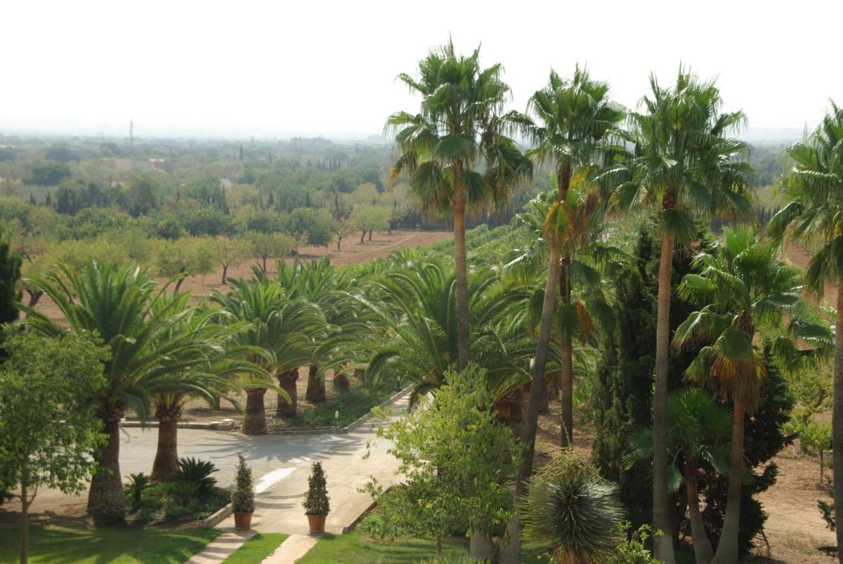 Paisaje cerca de este hotel