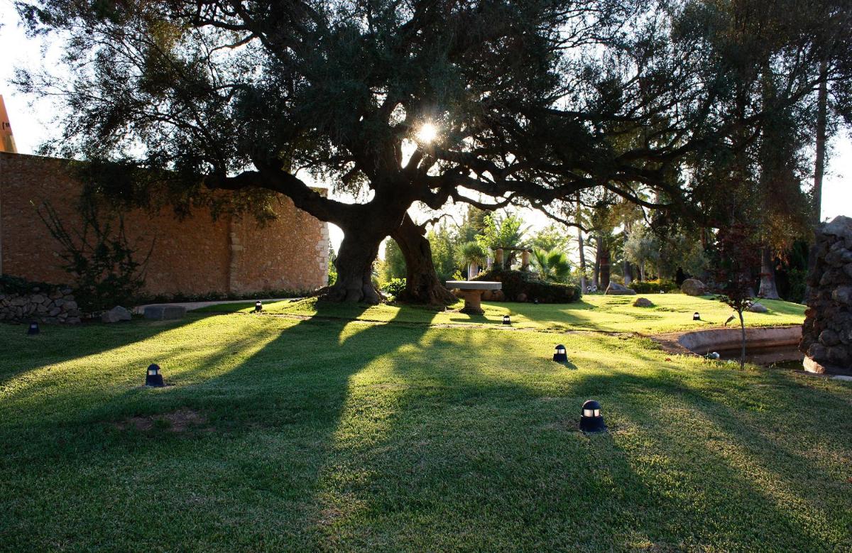Jardín al aire libre en Sa Cabana Hotel & Spa - Adults Only