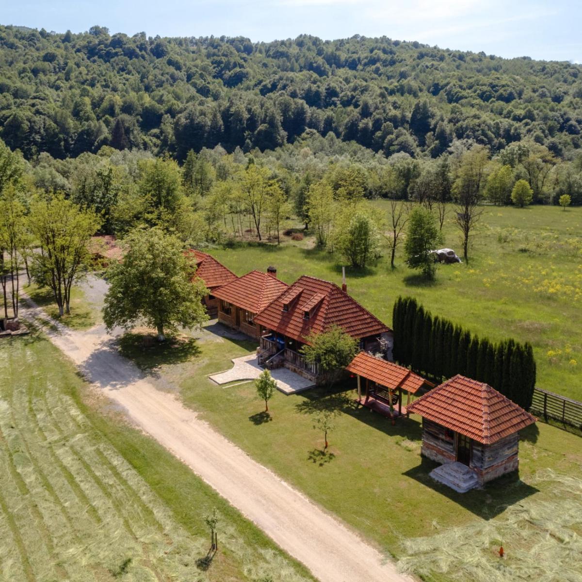 Complex Cabanele Florilor - Housity