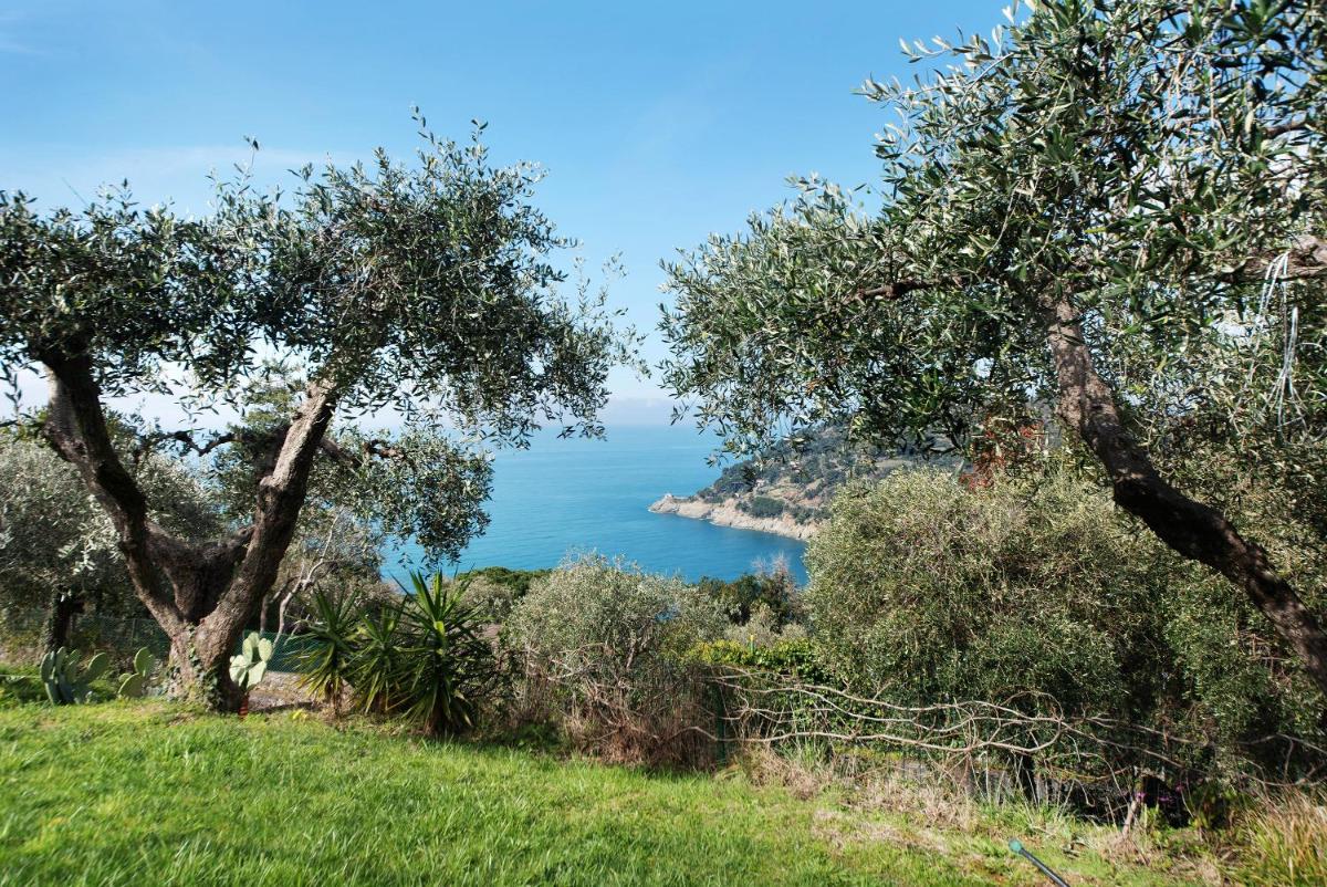 Il Paradiso Sul Mare - Housity