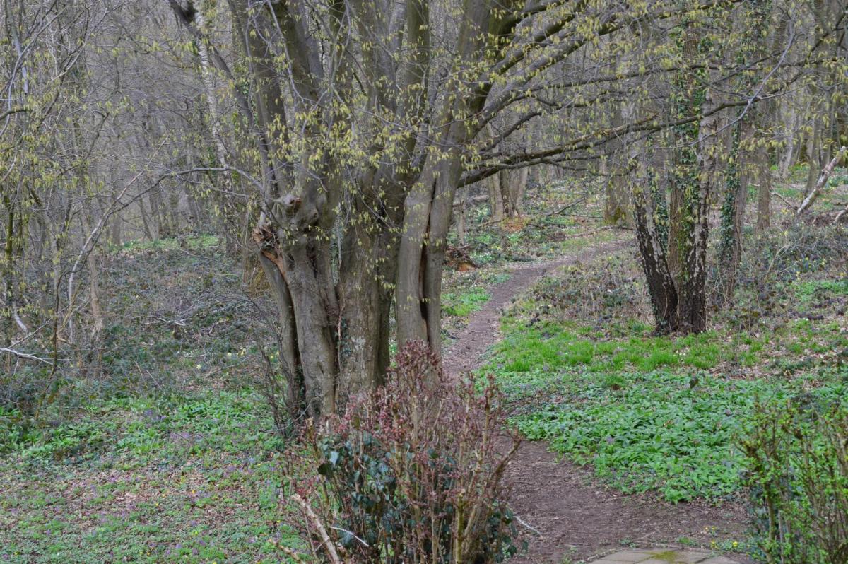 Oasis Verte - Housity