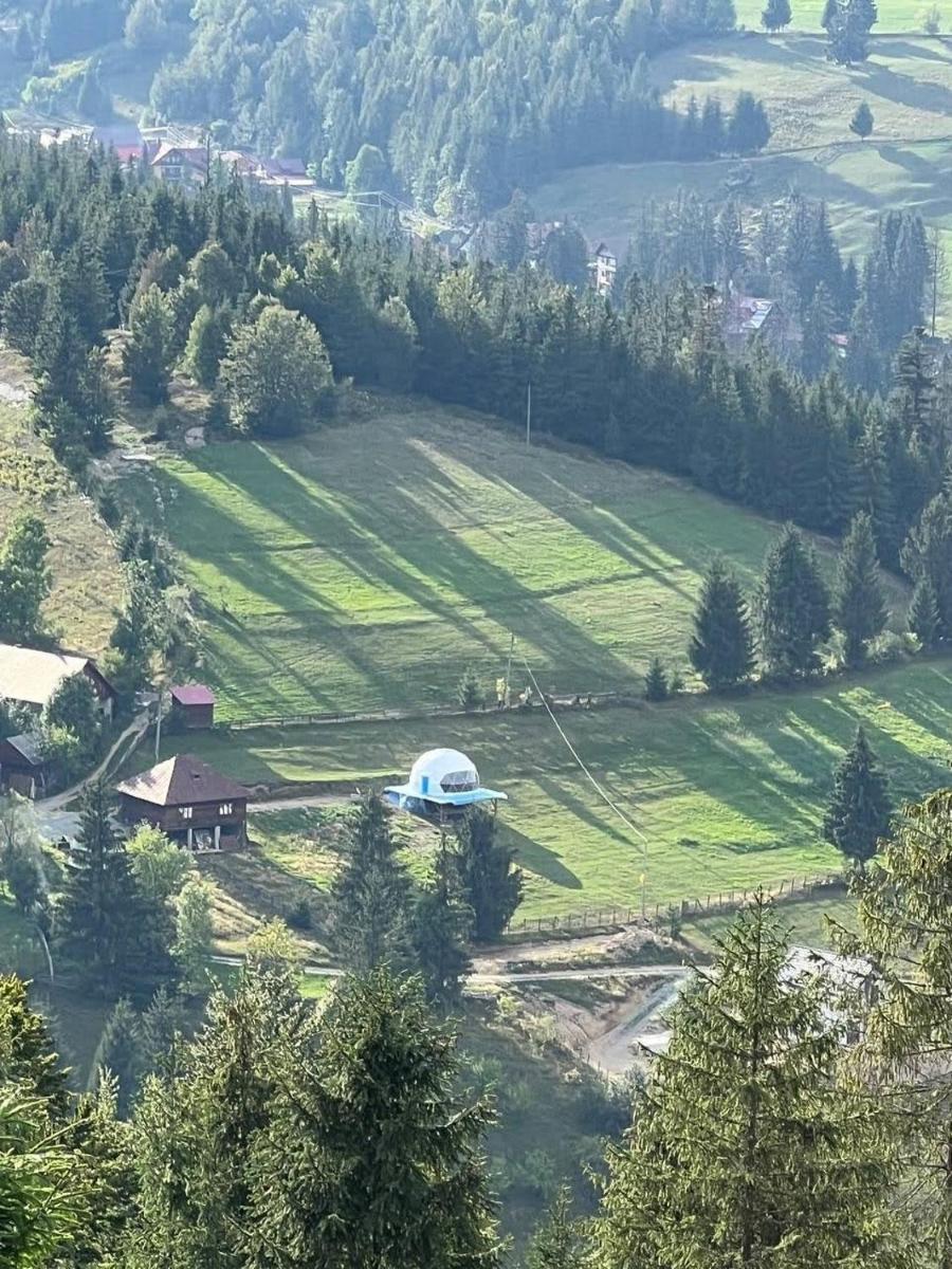 WildGlampingArieseni - Housity