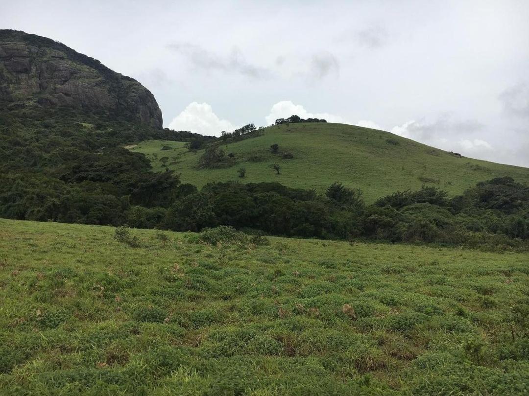 Little bungalow Holiday Home, Coorg - Housity