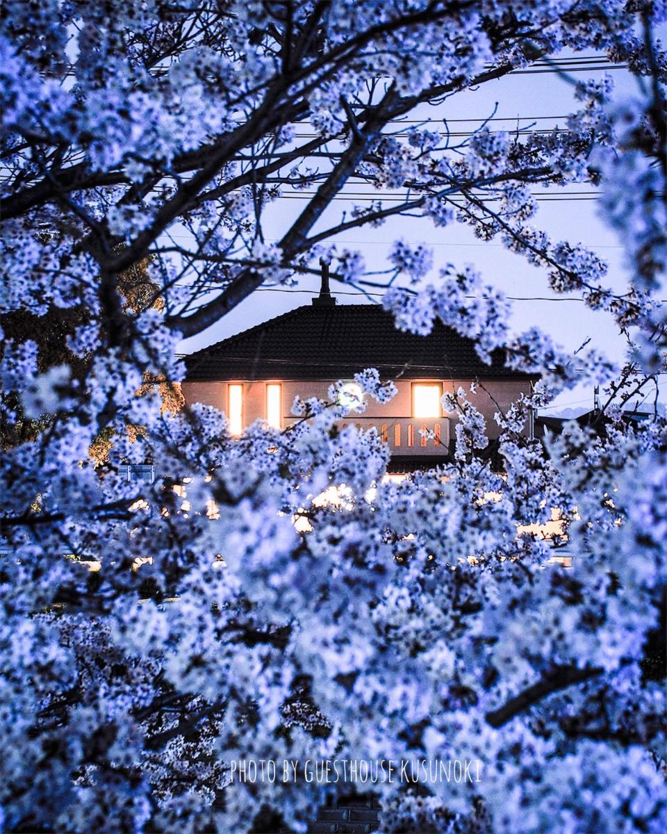 Guest house kusunoki（women only） - Housity