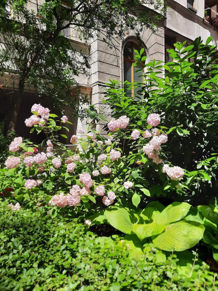 Turul Apartment Budapest - Housity