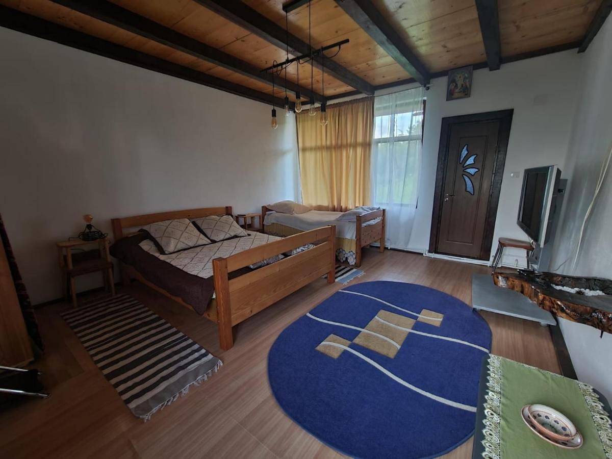 Jugul Țăranului Agropensiune Polovragi, Gorj - Housity