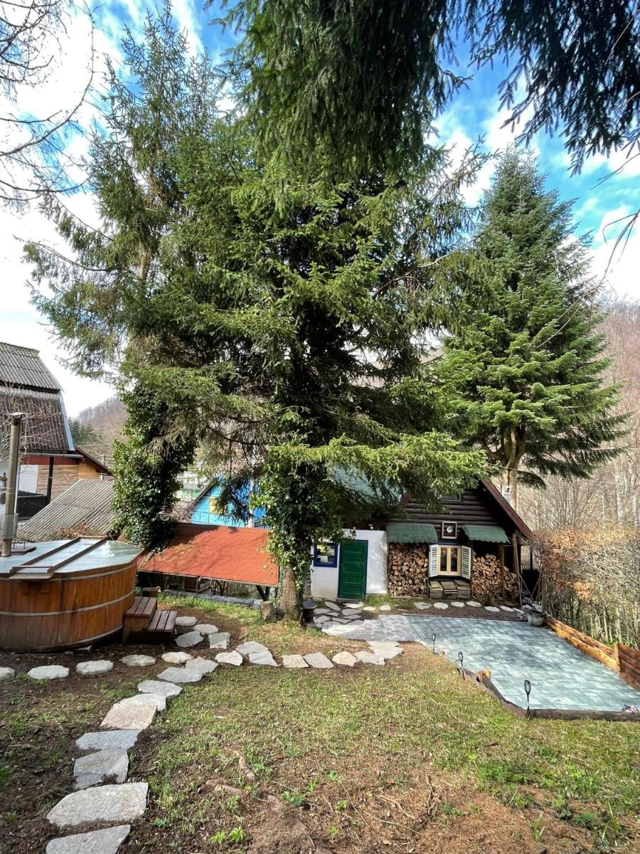 Cabana Farmec Ciubăr - Dézsabáj Kulcsosház - Housity
