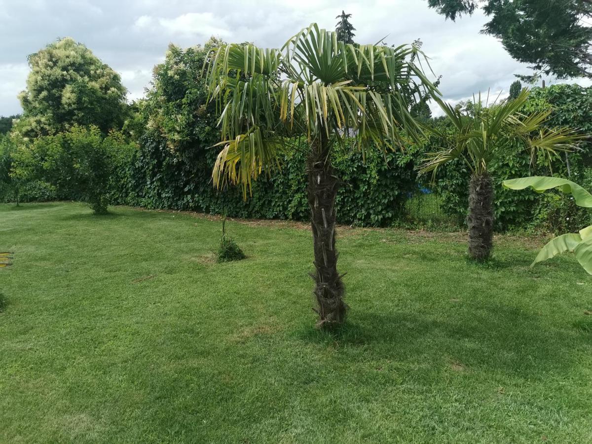 Jolie villa avec piscine dans le St emilionnais - Housity