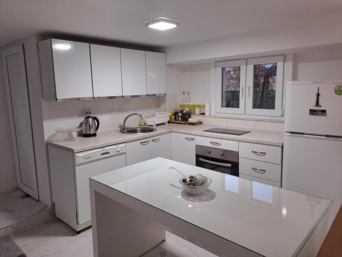 Svetlana's Apartments - Housity