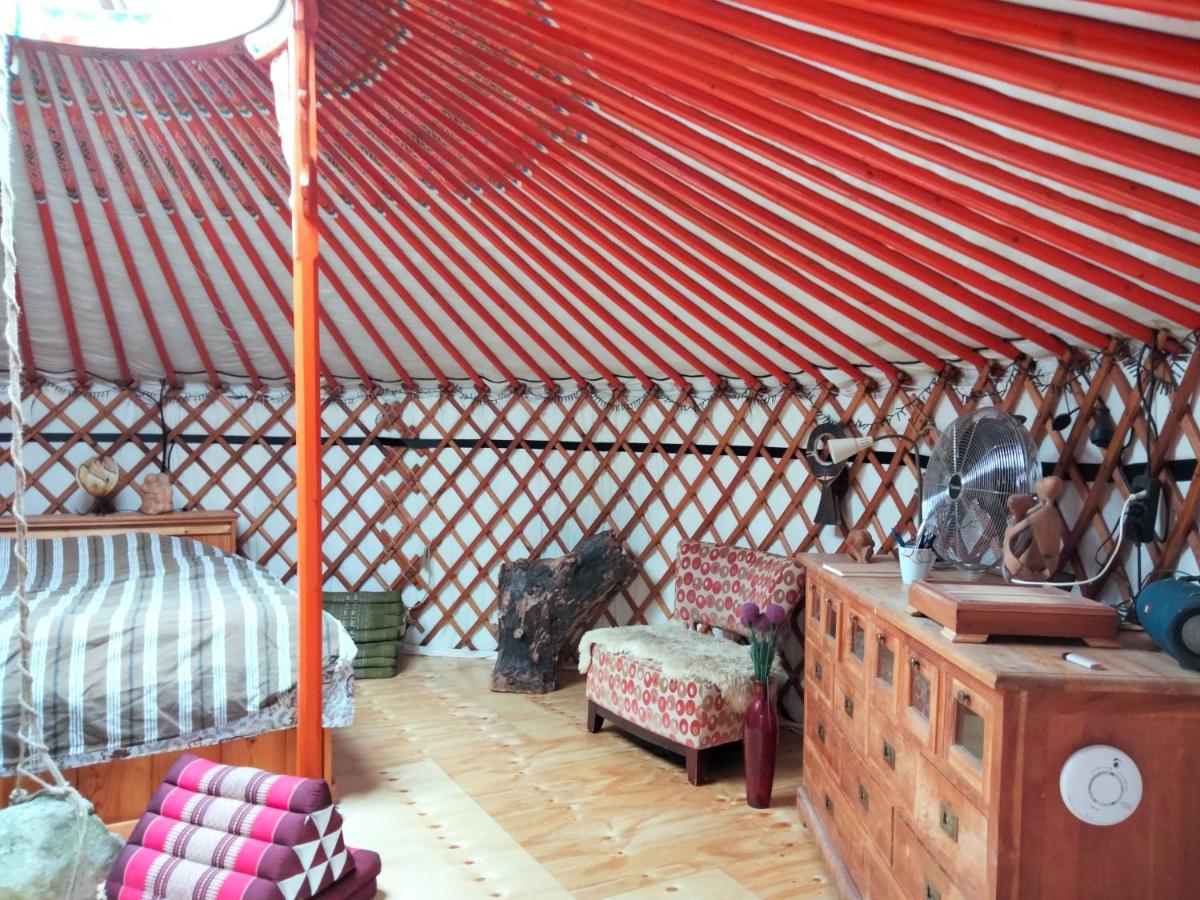 Todo Se Pasa Yurt 2 - Housity