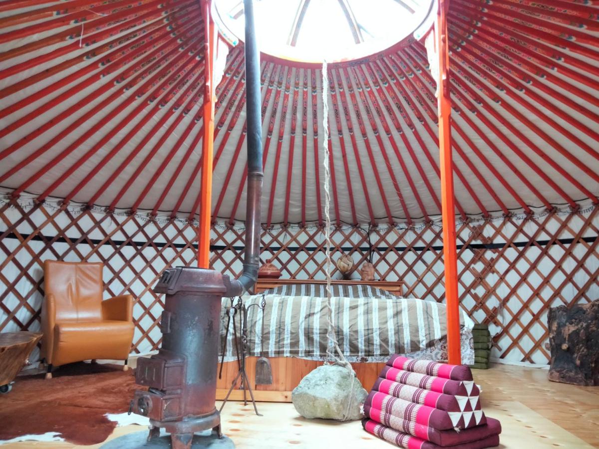 Todo Se Pasa Yurt 2 - Housity