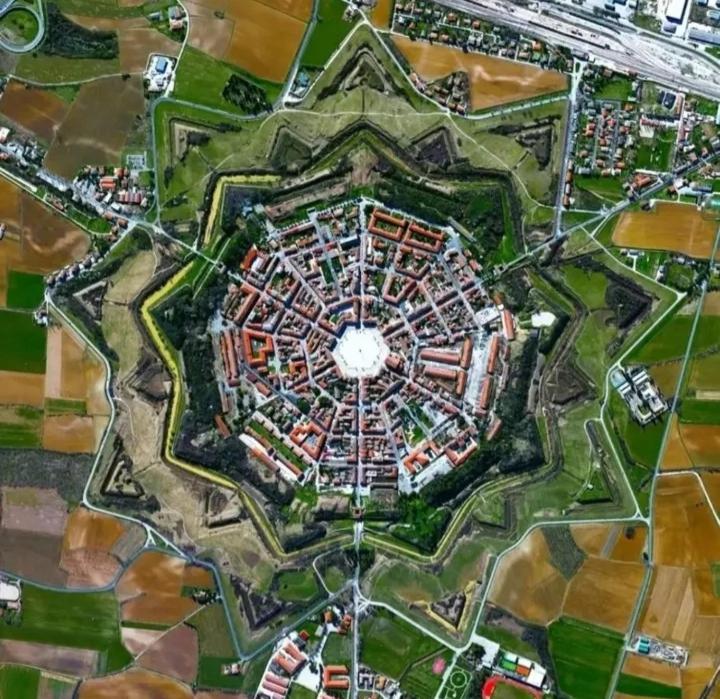 Palmamore - Housity