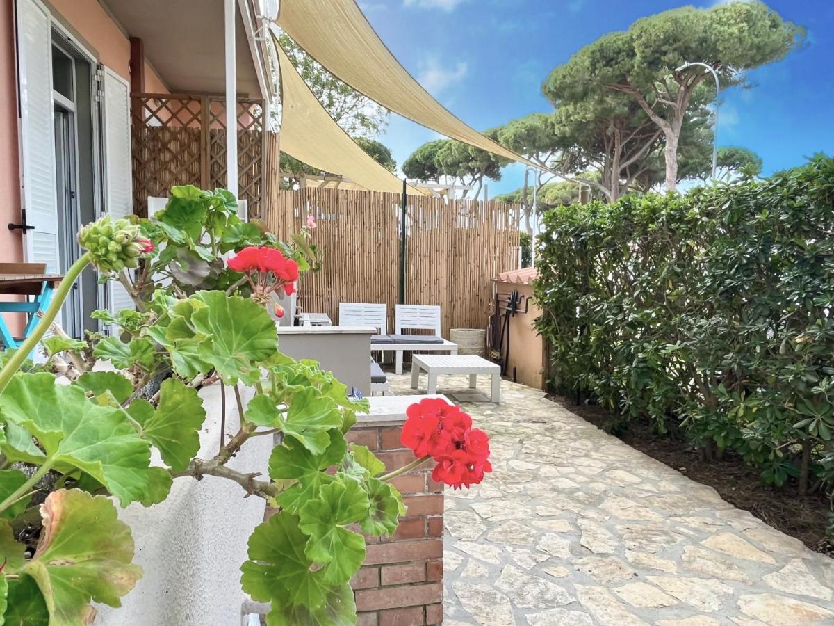La Meria di Maria Casa Viola - Housity