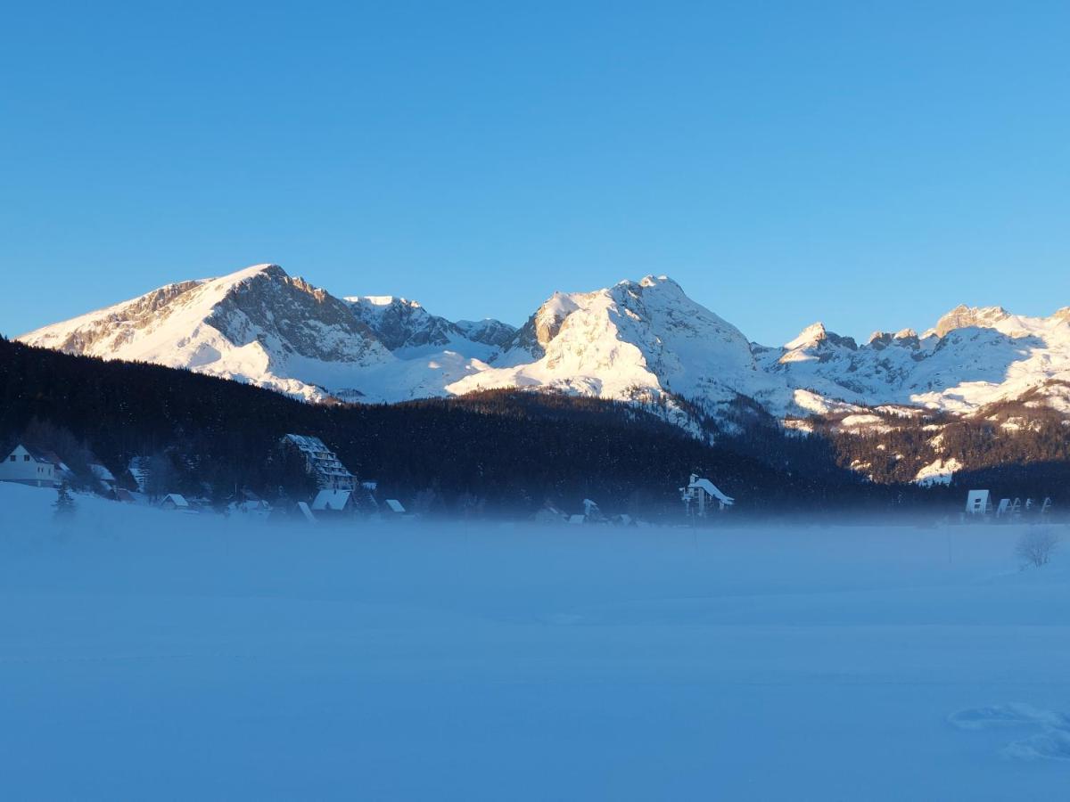 Šumski raj - Housity